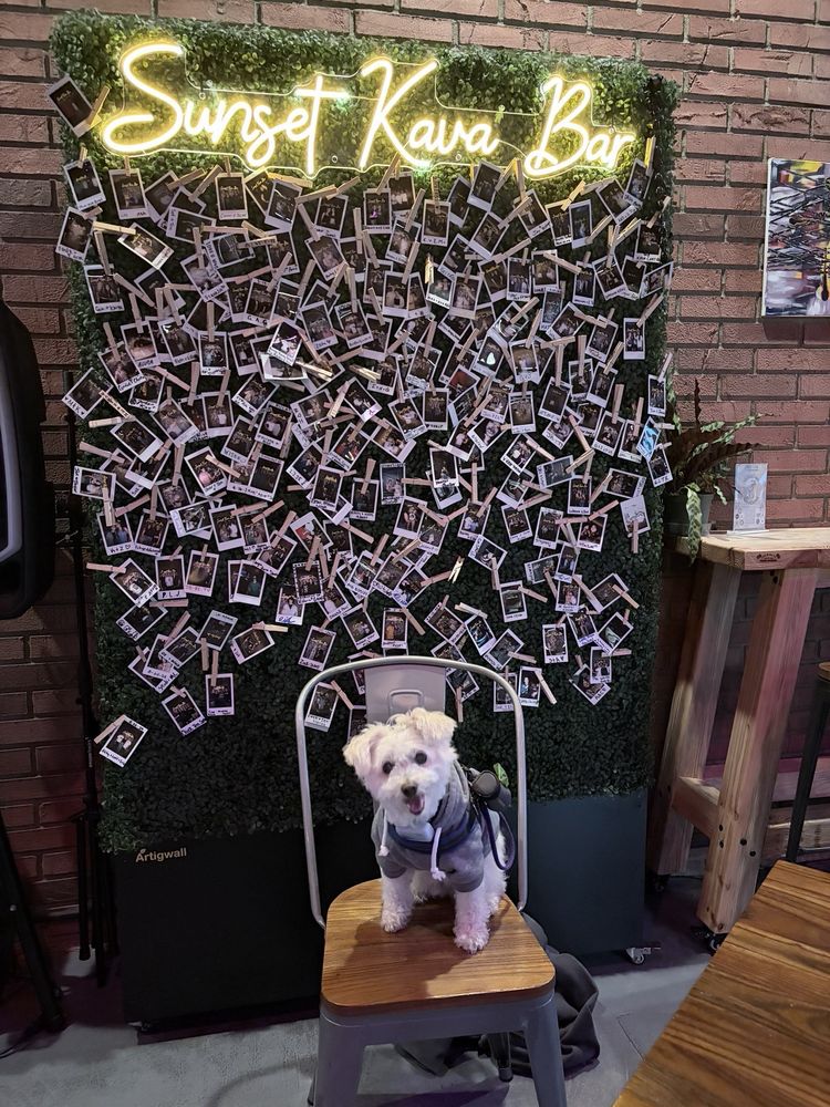 Sunset Kava Bar Logo