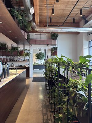 Nossa Familia Coffee by null