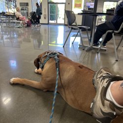Les Schwab Tire Center - Very patiently waiting for his truck to be all done with its fancy new tires.