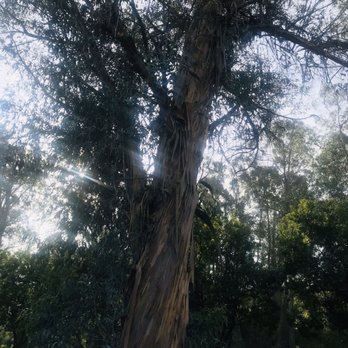 Refugio Valley Park - Parks Near Me - Hercules, California