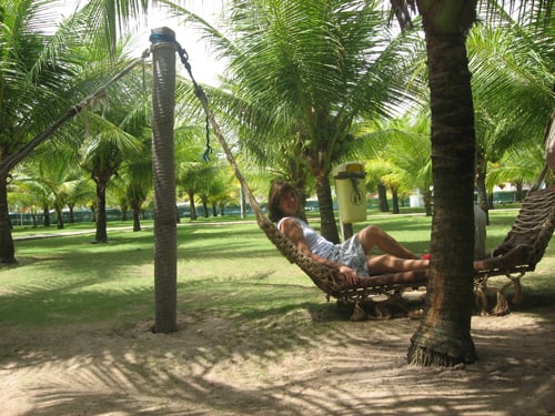 Crocobeach by null