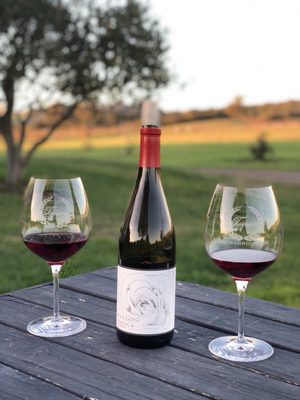 Babcock Winery & Vineyards by null