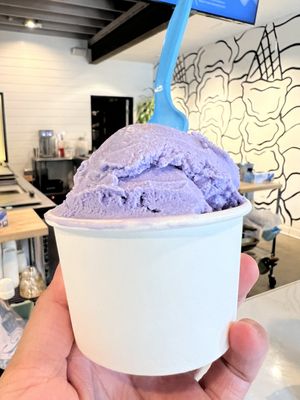 The Craft Creamery by null