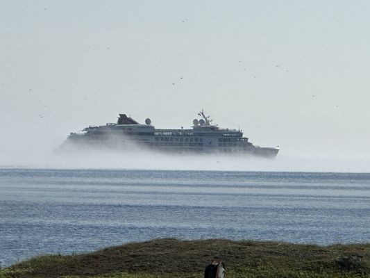 Daily Catch Restaurant by null