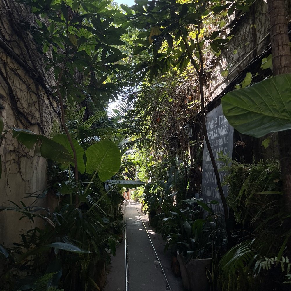Tealosophy - Entrance - Tea Rooms Near Me - Buenos Aires, C