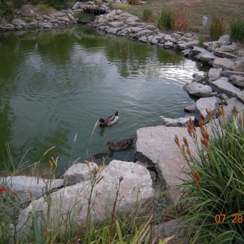 Slattery Vintage Estates - THESE TWO DUCKS WERE TOTALLY AT HOME AMONG THE GUESTS. SO CUTE THE WAY THEY FOLLOWED EACH OTHER AROUND AMONG THE MANY GUESTS E - Wineries Near Me - Nehawka, Nebraska Slattery Vintage Estates - THESE TWO DUCKS WERE TOTALLY AT HOME AMONG THE GUESTS. SO CUTE THE WAY THEY FOLLOWED EACH OTHER AROUND AMONG THE MANY GUESTS E - Wineries Near Me - Nehawka, Nebraska