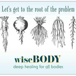 Wise Body Somatic Counseling & Cranial Sacral Therapy