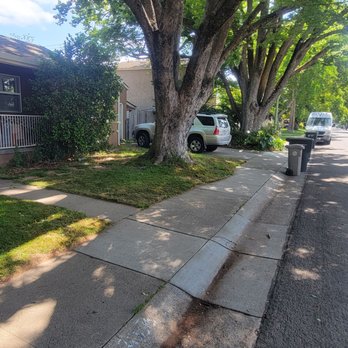 Environmental Tree Service - Street is totally clean! - Tree Services Near Me - Sacramento, California Environmental Tree Service - Street is totally clean! - Tree Services Near Me - Sacramento, California