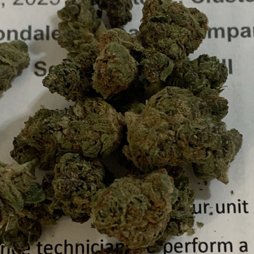 Green Dragon - Sfv Sativa from Green Dragon - Vitamins & Supplements Near Me - Wilton Manors, Florida