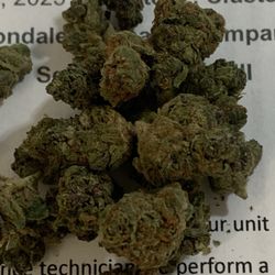 Green Dragon - Sfv Sativa from Green Dragon