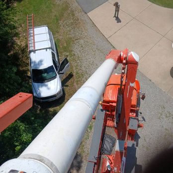 Reese Resolution - 60 foot up - Tree Services Near Me Reese Resolution - 60 foot up - Tree Services Near Me