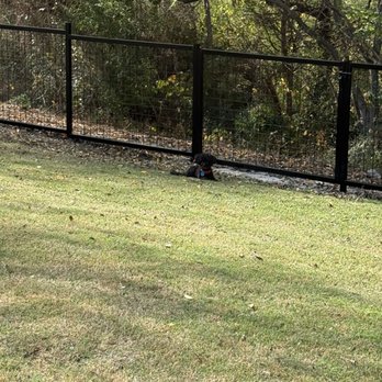 Fences and More - Fences & Gates Near Me Fences and More - Fences & Gates Near Me