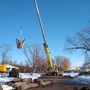 Photo of Arbor Tree Service