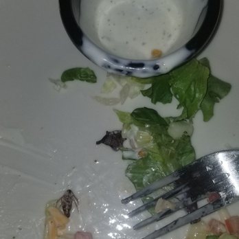 Applebee's Grill + Bar - Bug discovered in salad at Applebees in Stockbridge GA - American Near Me - Stockbridge, Georgia Applebee's Grill + Bar - Bug discovered in salad at Applebees in Stockbridge GA - American Near Me - Stockbridge, Georgia