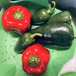 Burke Farmer's Market - Beautiful peppers