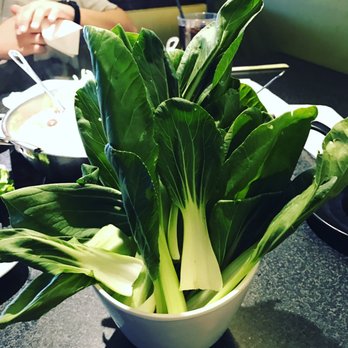 Happy Lamb Hot Pot - My bok choy looks like a plant - Mongolian Near Me - Edison, New Jersey