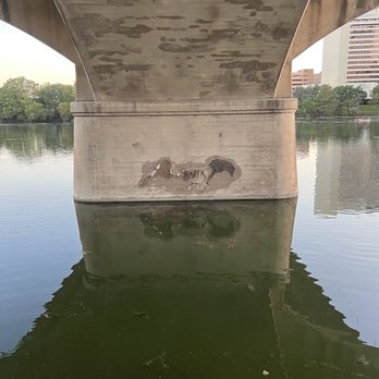 Bats Under the Congress Avenue Bridge - Landmarks & Historical Buildings Near Me - Austin, Texas