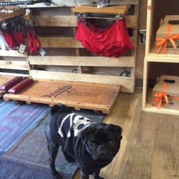 Lilly the store's mascot. Love her! Lilly the store's mascot. Love her!