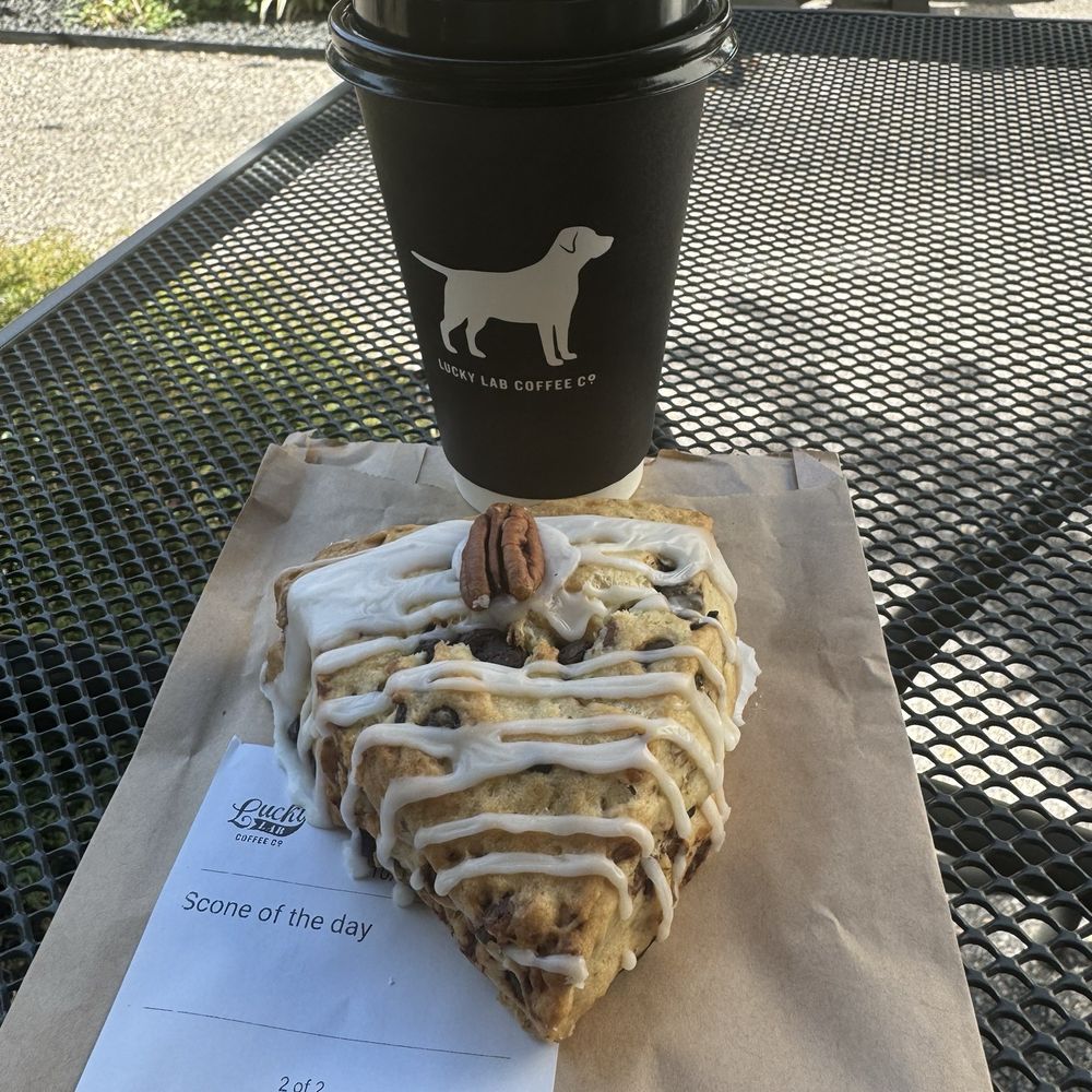 Lucky Lab Coffee - Americano & Scone of the Day (chocolate chip & walnut) - Desserts Near Me - Austin, Texas Lucky Lab Coffee - Americano & Scone of the Day (chocolate chip & walnut) - Desserts Near Me - Austin, Texas