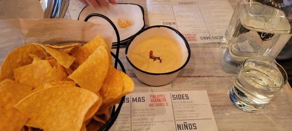 Mama Lu's - A Modern Day Taco Shop by null
