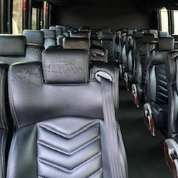 Lion Express - Shabby Seat 1