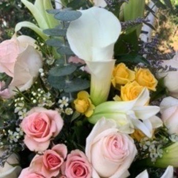 Bloom & Grow - Florists Near Me - Vestavia Hills, Alabama Bloom & Grow - Florists Near Me - Vestavia Hills, Alabama