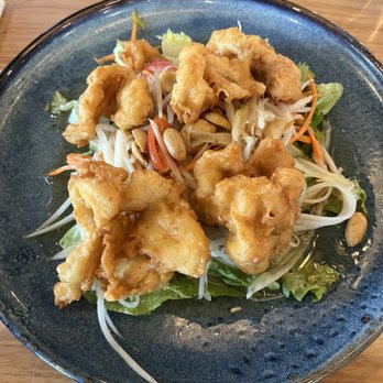 White Lotus Cafe - Papaya salad with chicken - Cafes Near Me - Colorado Springs, Colorado