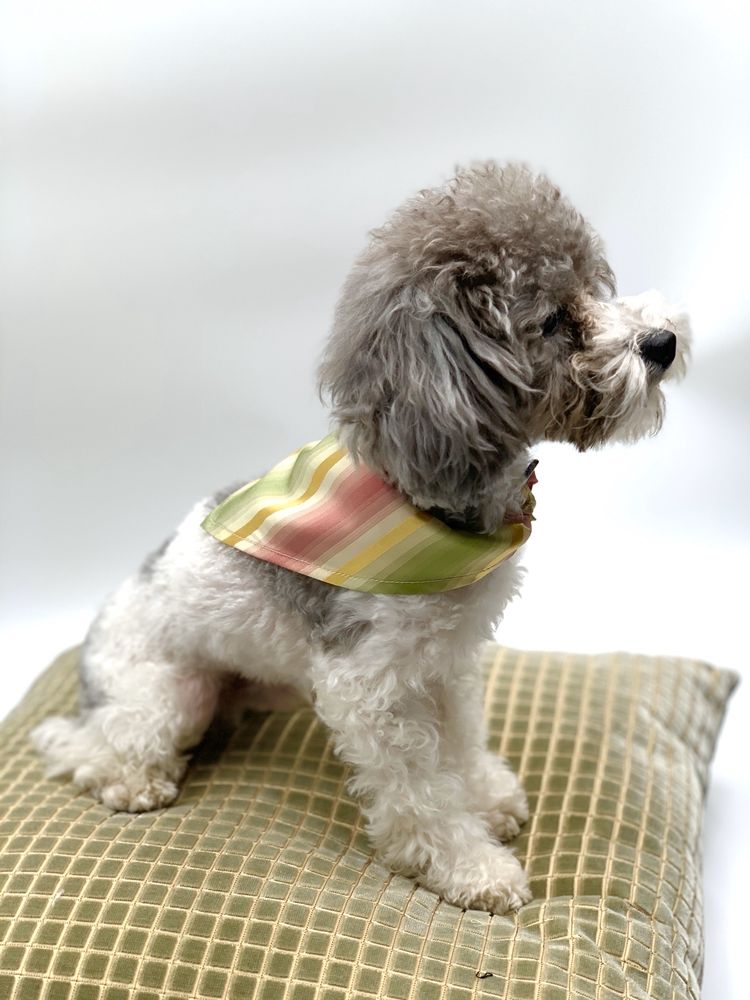 VIVIEN Z OF CARMEL 42 Photos CarmelbytheSea, CA Yelp