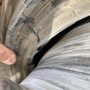 Photo of Airport Tires