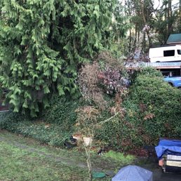 Cars & junk directly surround the Eagle's Nest cabin along with debris, piles, sheds and people coming and going.
