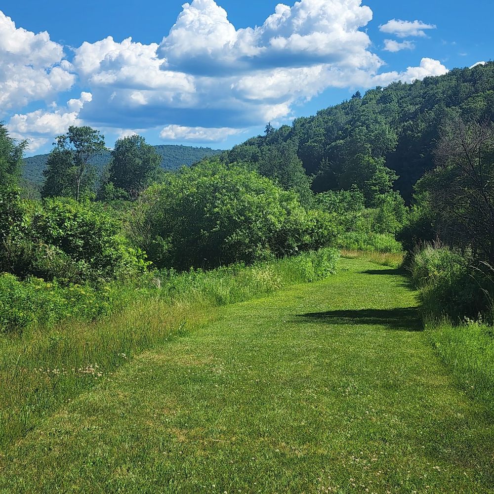Hiking trails at Kayaking in the Catskills, Halcottsville NY
