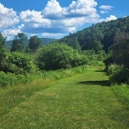 Hiking trails at Kayaking in the Catskills, Halcottsville NY Hiking trails at Kayaking in the Catskills, Halcottsville NY
