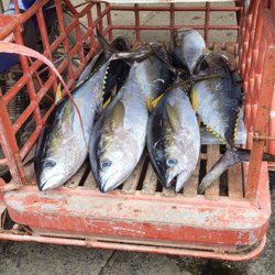 Puerto Princesa Public Market