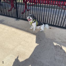 Barney Wood Bark Park