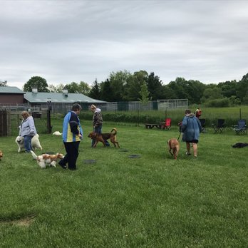 premier dog kennel