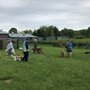 Photo of Premier Boarding Kennel