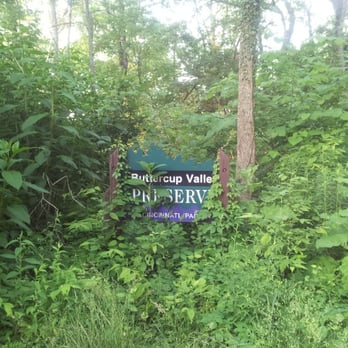 Buttercup Valley - Hiking Near Me - Cincinnati, Ohio