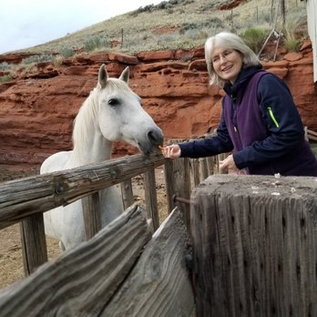 K 3 Guest Ranch - One of the horses on the K3 Ranch - Bed & Breakfast Near Me - Cody, Wyoming