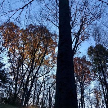 Southbury Tree Service - Tree Services Near Me - Oxford, Connecticut Southbury Tree Service - Tree Services Near Me - Oxford, Connecticut
