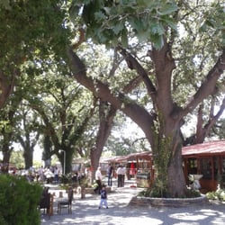 Palamutluk Bahçe Cafe & Restaurant & Kahvaltı