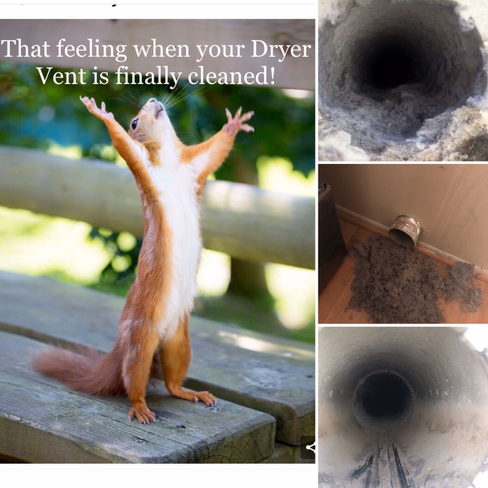 SUNCOAST DRYER VENT CLEANING Updated April 2024 14 Photos 4478