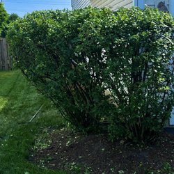 Quintessential Lawn Care