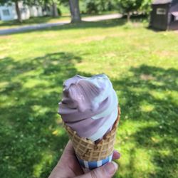 Golick's Dairy Bar - Princess swirl in a waffle cone