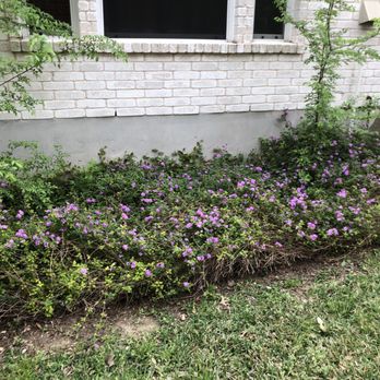 Aaron's Tree Service - Tree Services Near Me - Austin, Texas