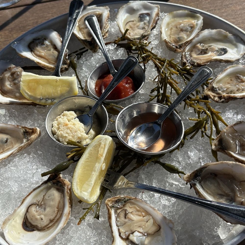 Turtle Club Restaurant - Fresh Select Oysters - Seafood Near Me - Naples, Florida Turtle Club Restaurant - Fresh Select Oysters - Seafood Near Me - Naples, Florida