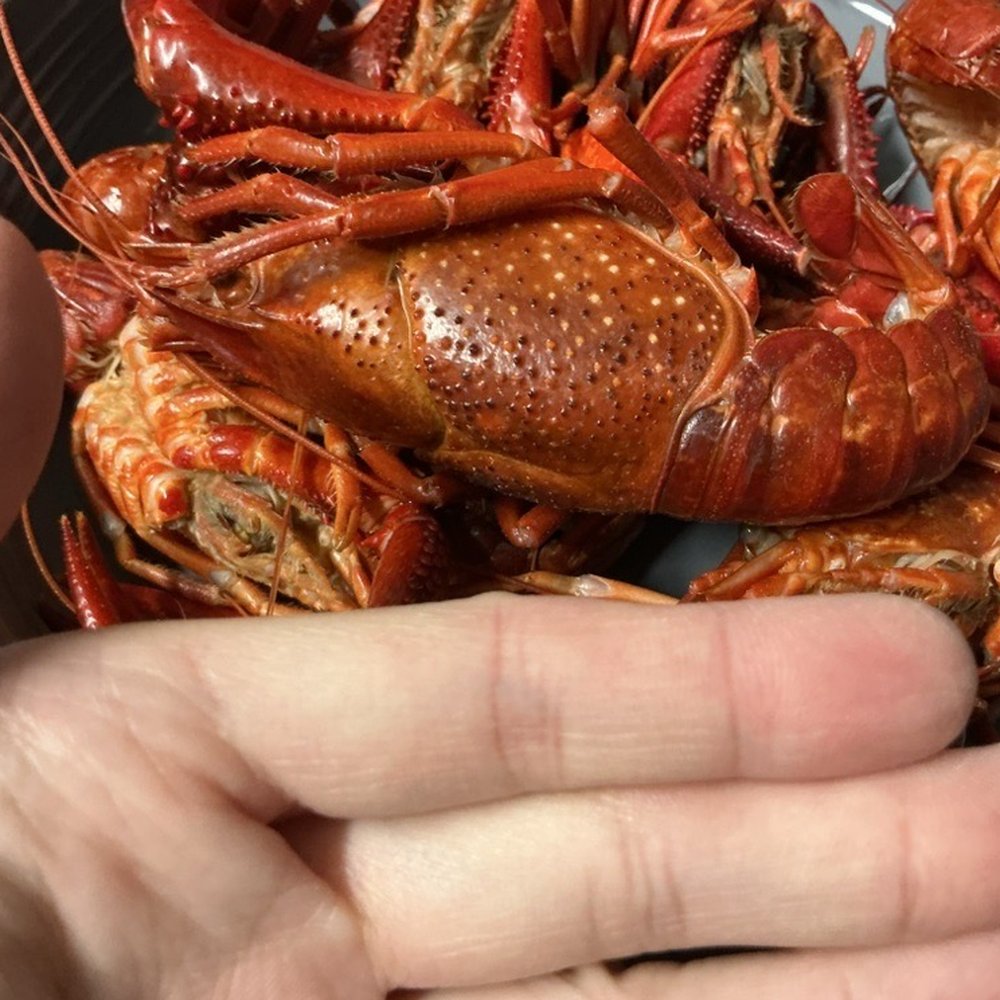 D&D SEAFOOD - Giant crawfish - Seafood Markets Near Me - Westminster, California