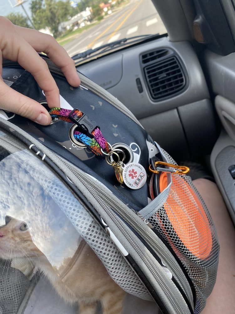 BUCEE’S 1117 Photos & 623 Reviews 205 IH45 S, Madisonville, TX