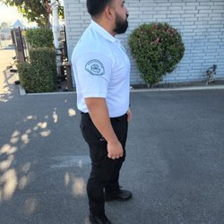 Scaife Protection Services