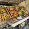 Yee's Orchard & Fruit Stand gift card