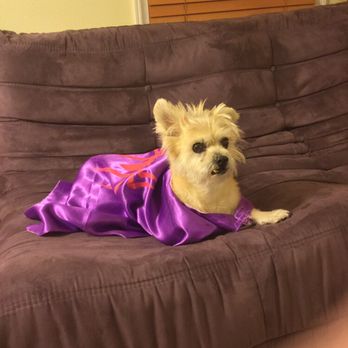 Olde Towne Pet Resort - Pet Groomers Near Me - Springfield, Virginia
